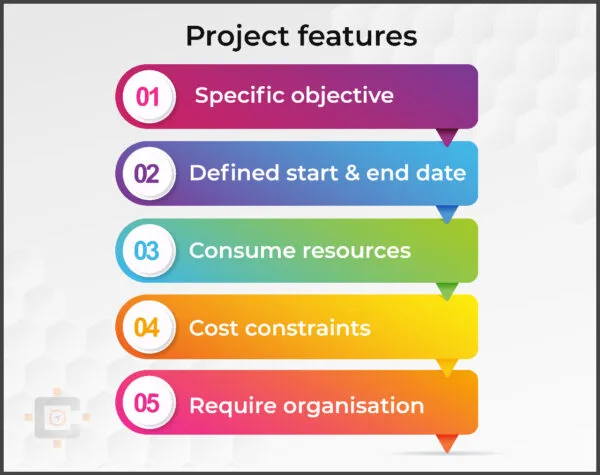 Project Features Project Features