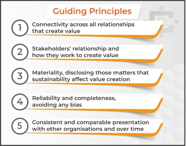 Guiding Principles