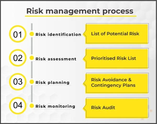 Risk Management Process