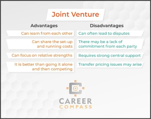 Joint Venture